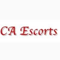 escorts hamilton|Enjoy Some of the Hottest Local Female Escorts and Hamilton .